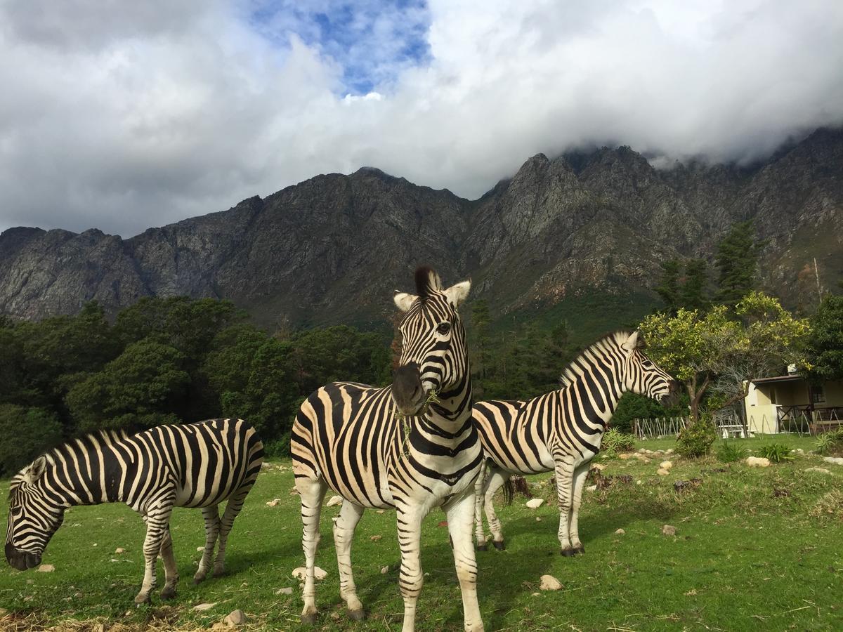 Franschhoek Country Cottages Exterior foto